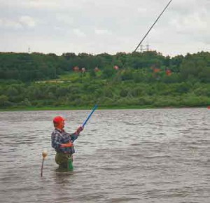Особенности поведения рыбы на малой и большой реке