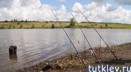 Отчет о рыбалке 21 июля 2013 на Владимировском пруду