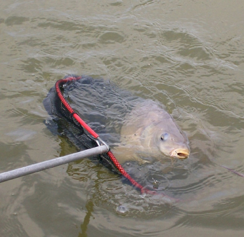 зимняя рыбалка леща на поплавочную удочку
