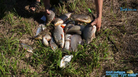 Рыбалка на реке Дон 1-2 сентября 2014 года