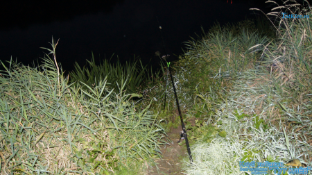 Рыбалка на реке Дон 1-2 сентября 2014 года