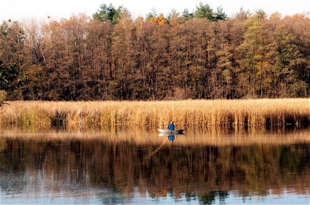 Осенняя ловля рыбы.