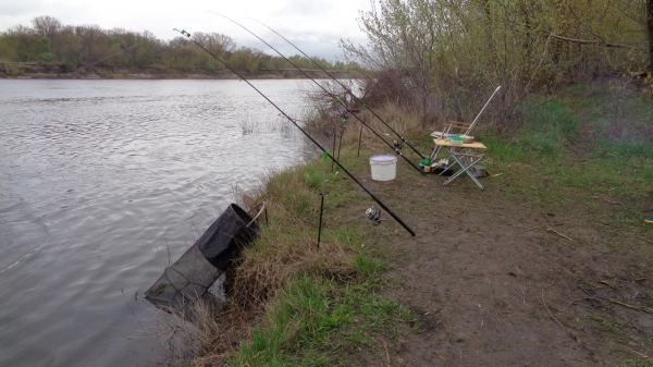 Рыбалка на Дону весной 16 апреля 2016г.