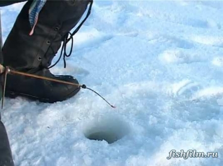 Ловля белой рыбы зимой на течении