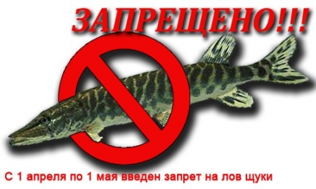 Весенний запрет на рыбалку 2012 (Белгород)
