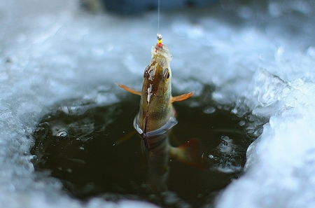 Зимняя рыбалка по первому льду.