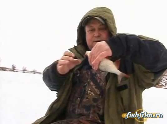 Зимняя рыбалка на Истринском и Горьковском водохранилищах