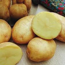 Ловля карпа на картофель. Как приготовить картошку.