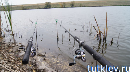 Отчет о платной рыбалке на водоеме в Ларисовке