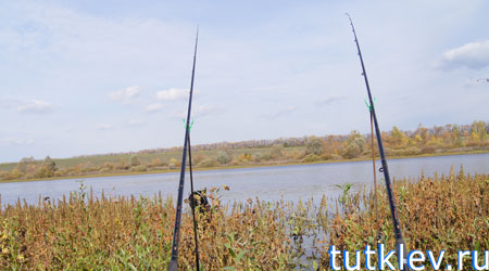 Отчет о платной рыбалке осенью на водоеме во Владимировке.