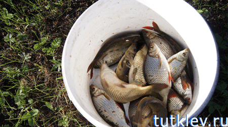 Отчет о рыбалке 2 мая 2013 на платнике Успенка