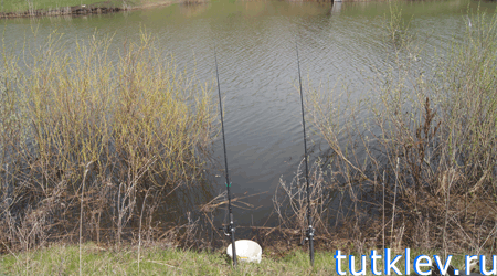 Отчет о рыбалке 28 апреля 2013 на платнике Запольное