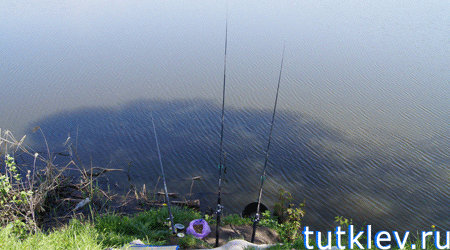 Отчет о рыбалке на платном водоеме Прилепы 12 мая 2013