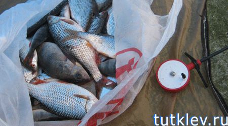 Отчет о рыбалке на Старооскольском водохранилище 6 апреля 13 года.