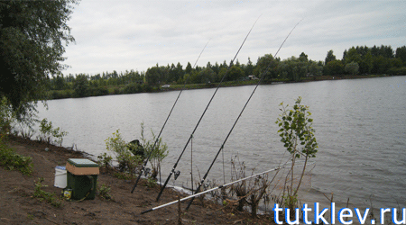 Отчет о рыбалке на Владимировском пруду 28 июля 2013