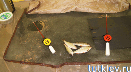 Отчет о зимней рыбалке на Старооскольском водохранилище 5 января 2014.