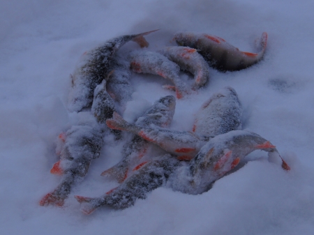 Первый выход на лед и открытие зимнего сезона рыбалки 2014.