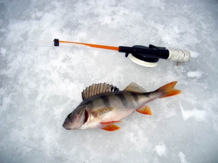 Зимняя рыбалка на Иртыше.