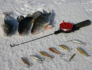 Как выбрать удочку для зимней рыбалки