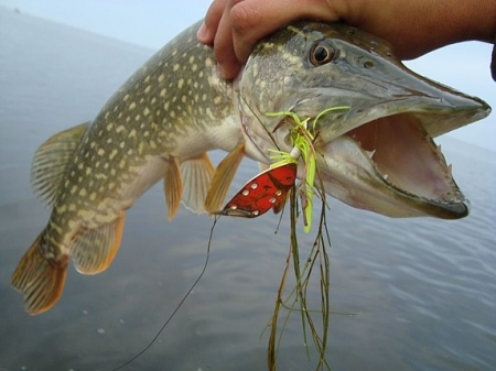 Рыбалка с использованием методов анти-хай-джек.