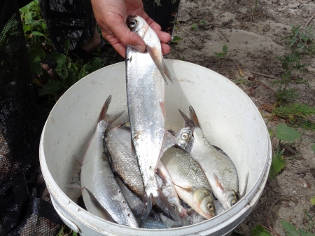 Отчет о летней рыбалке в 2015г.