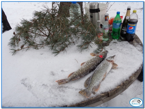 Новогодняя рыбалка в Самойловке.